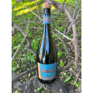 Rudamantis Chenin Blanc Brut 2025